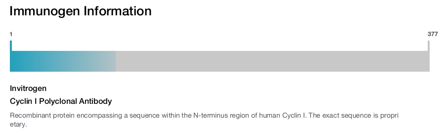 Cyclin I Polyclonal Antibody
