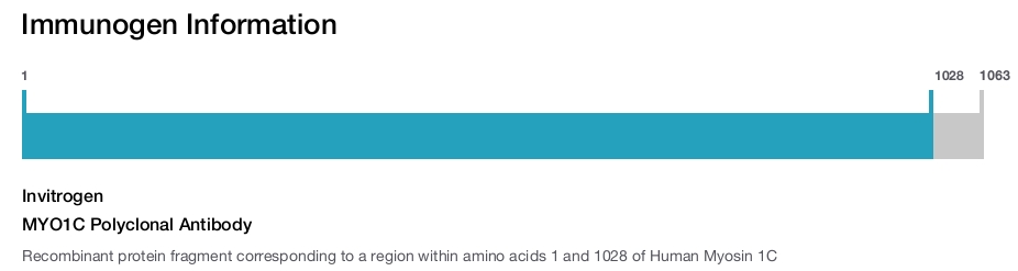 MYO1C Polyclonal Antibody