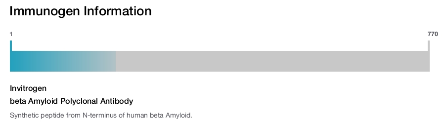 beta Amyloid Polyclonal Antibody