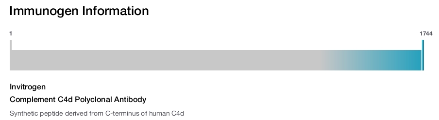 Complement C4d Polyclonal Antibody
