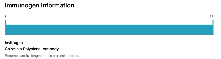 Calretinin Polyclonal Antibody