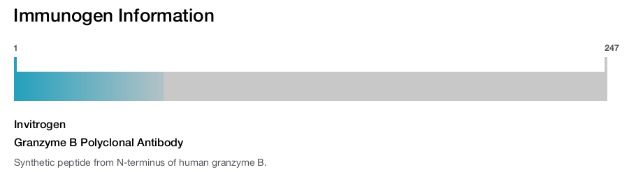 Granzyme B Polyclonal Antibody