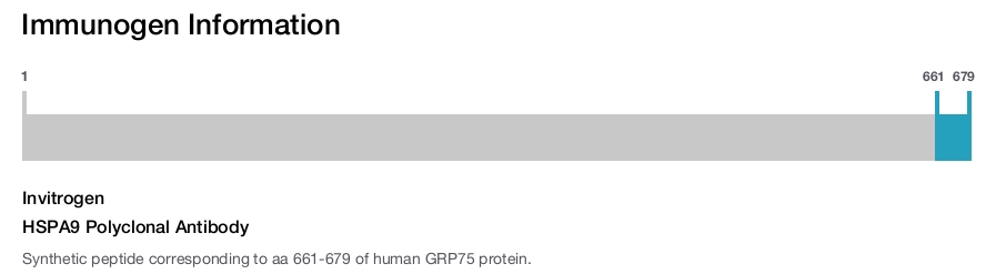 HSPA9 Polyclonal Antibody