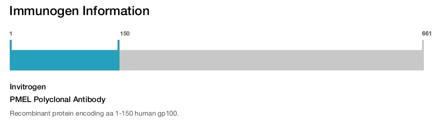 PMEL Polyclonal Antibody