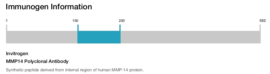 MMP14 Polyclonal Antibody