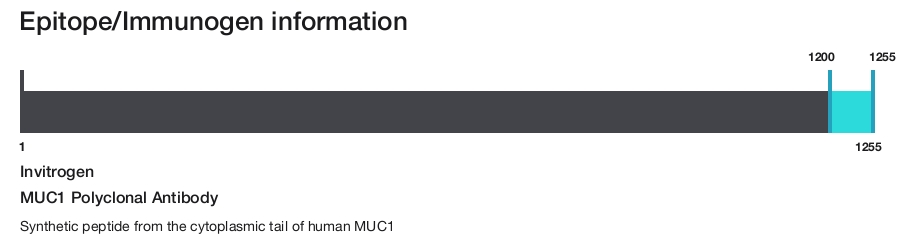 MUC1 Polyclonal Antibody