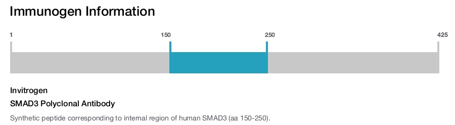 SMAD3 Polyclonal Antibody