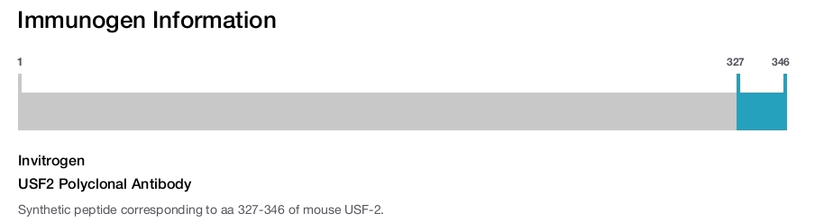 USF2 Polyclonal Antibody