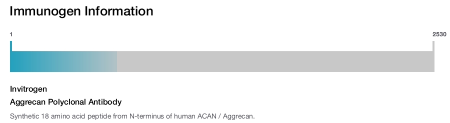 Aggrecan Polyclonal Antibody