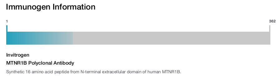 MTNR1B Polyclonal Antibody
