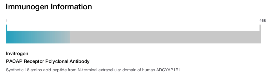 PACAP Receptor Polyclonal Antibody