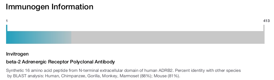 beta-2 Adrenergic Receptor Polyclonal Antibody