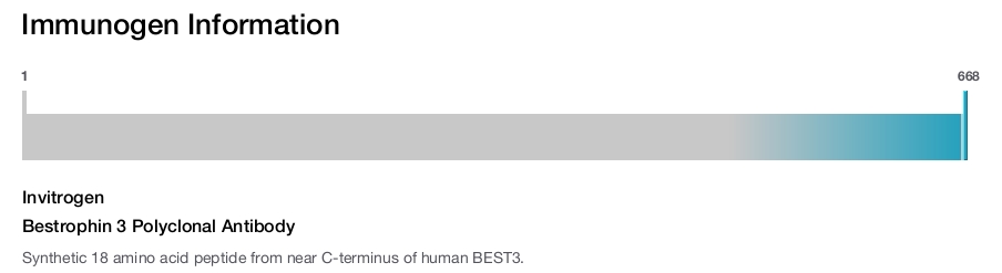 Bestrophin 3 Polyclonal Antibody