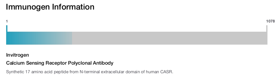 Calcium Sensing Receptor Polyclonal Antibody