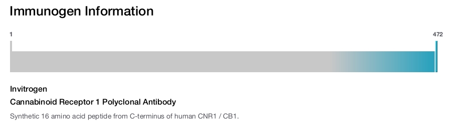 Cannabinoid Receptor 1 Polyclonal Antibody