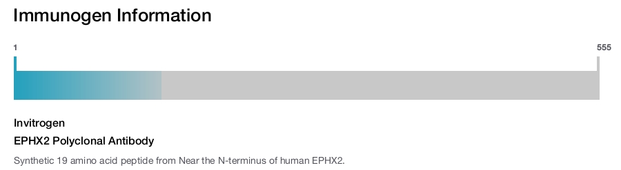 EPHX2 Polyclonal Antibody