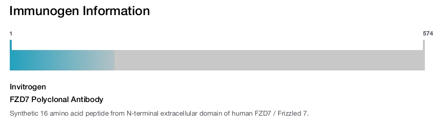 FZD7 Polyclonal Antibody