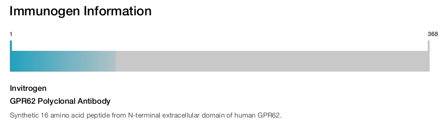 GPR62 Polyclonal Antibody