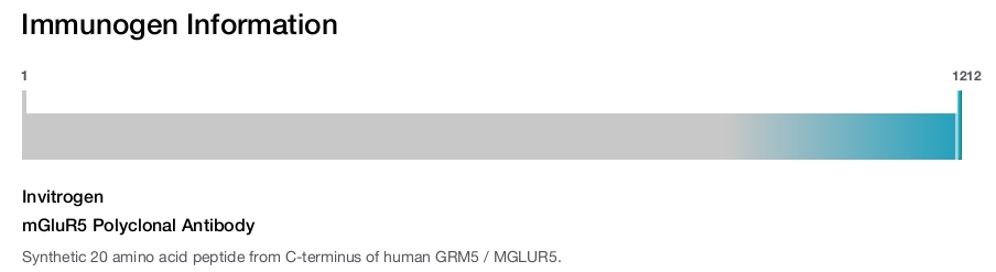 mGluR5 Polyclonal Antibody