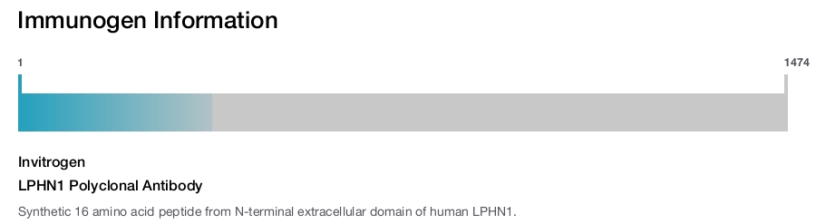 LPHN1 Polyclonal Antibody