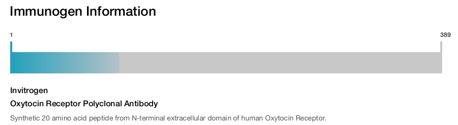 Oxytocin Receptor Polyclonal Antibody