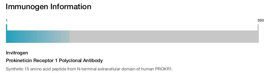 Prokineticin Receptor 1 Polyclonal Antibody