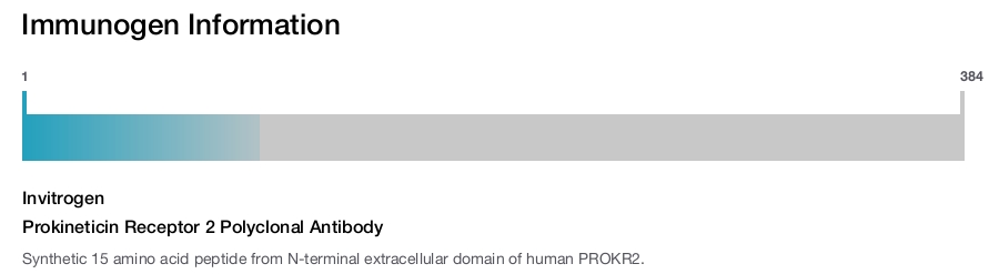 Prokineticin Receptor 2 Polyclonal Antibody