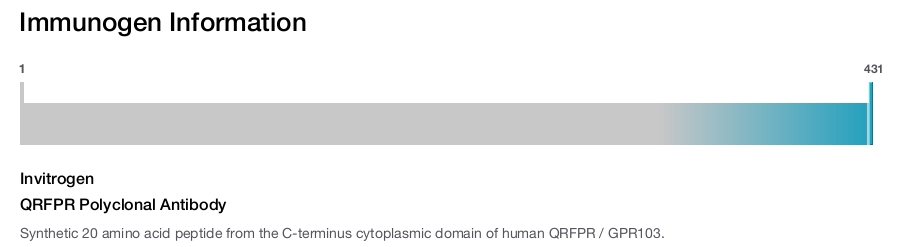 QRFPR Polyclonal Antibody