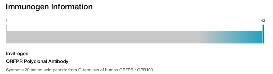 QRFPR Polyclonal Antibody