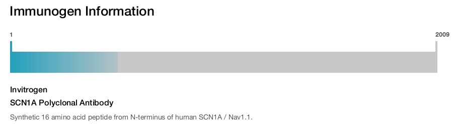 SCN1A Polyclonal Antibody