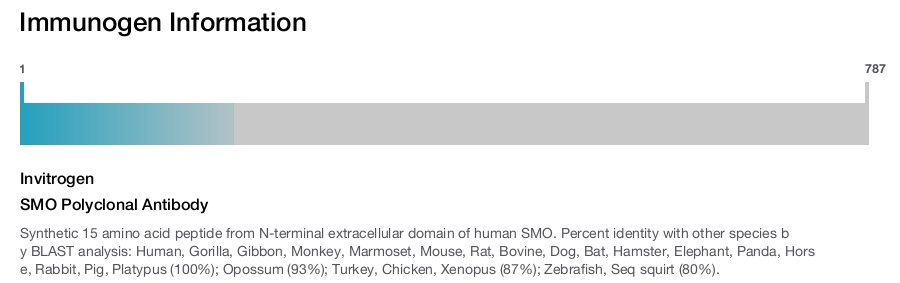 SMO Polyclonal Antibody