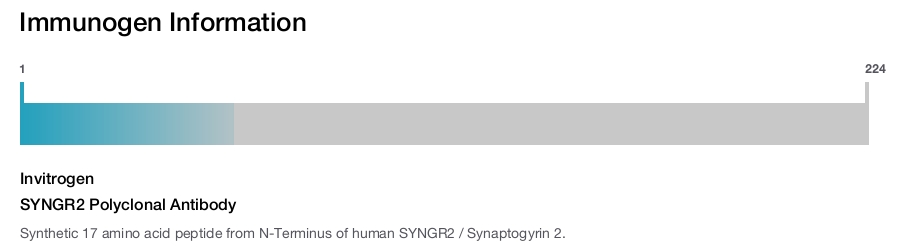 SYNGR2 Polyclonal Antibody