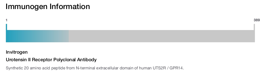 Urotensin II Receptor Polyclonal Antibody