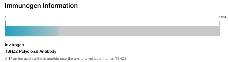 TSHZ2 Polyclonal Antibody