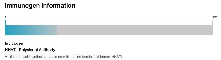 HHATL Polyclonal Antibody