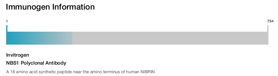 NBS1 Polyclonal Antibody