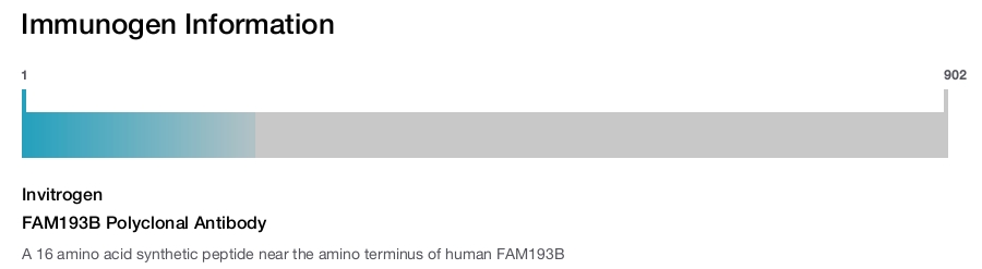 FAM193B Polyclonal Antibody