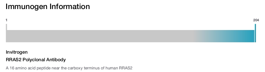 RRAS2 Polyclonal Antibody