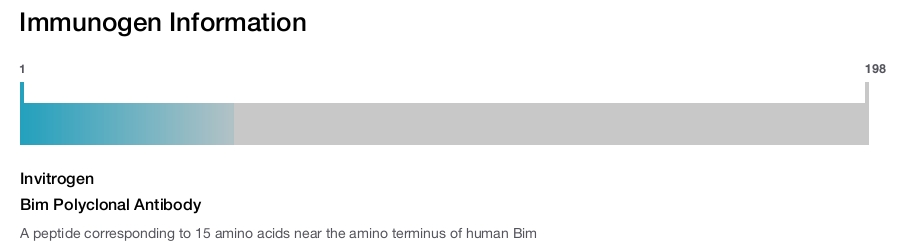 Bim Polyclonal Antibody