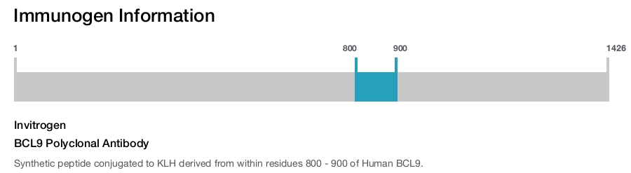 BCL9 Polyclonal Antibody