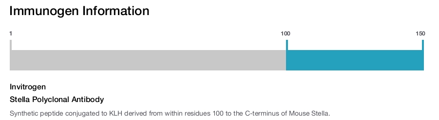 Stella Polyclonal Antibody