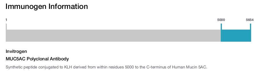 MUC5AC Polyclonal Antibody
