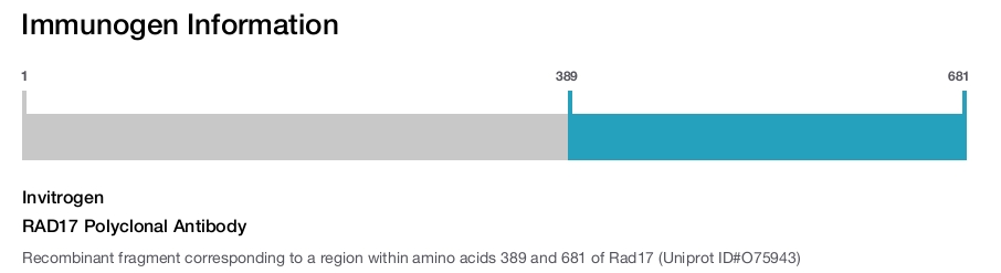 RAD17 Polyclonal Antibody
