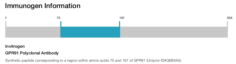 GPR91 Polyclonal Antibody