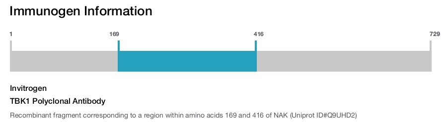TBK1 Polyclonal Antibody