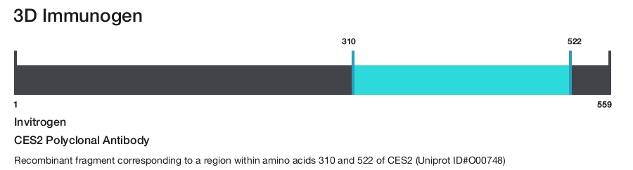 CES2 Polyclonal Antibody