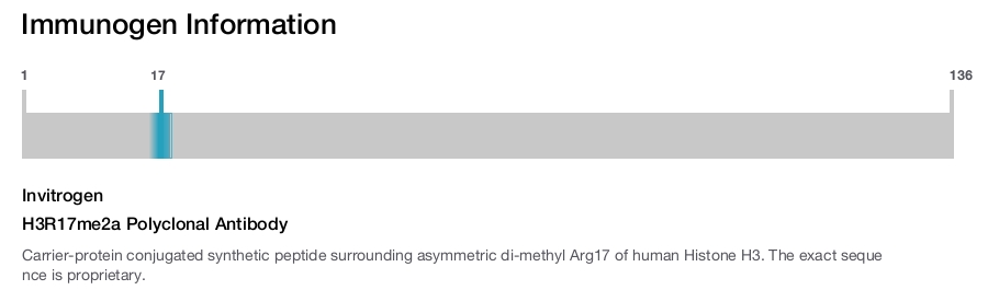 H3R17me2a Polyclonal Antibody