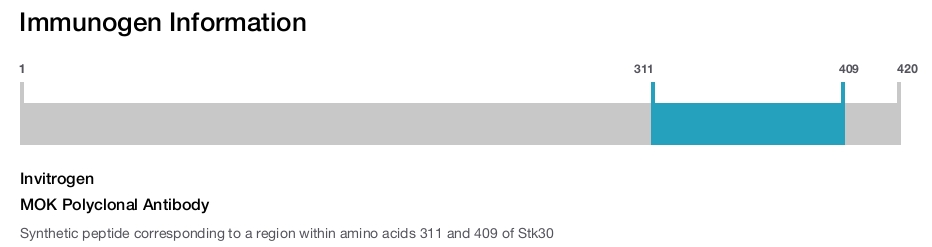 MOK Polyclonal Antibody