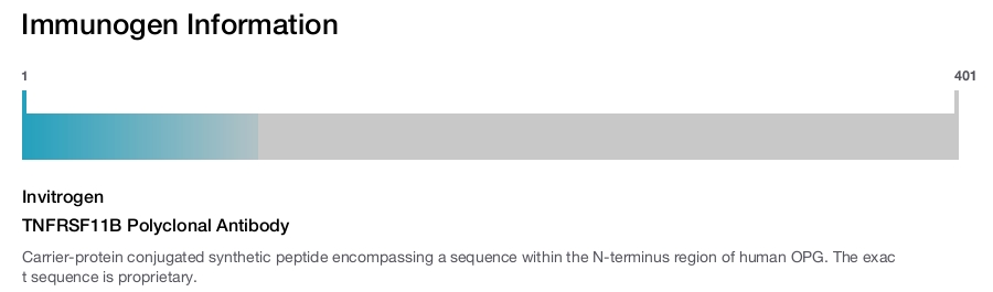TNFRSF11B Polyclonal Antibody