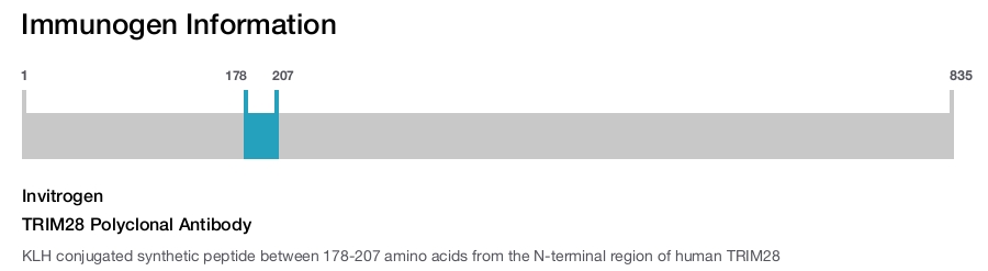 TRIM28 Polyclonal Antibody